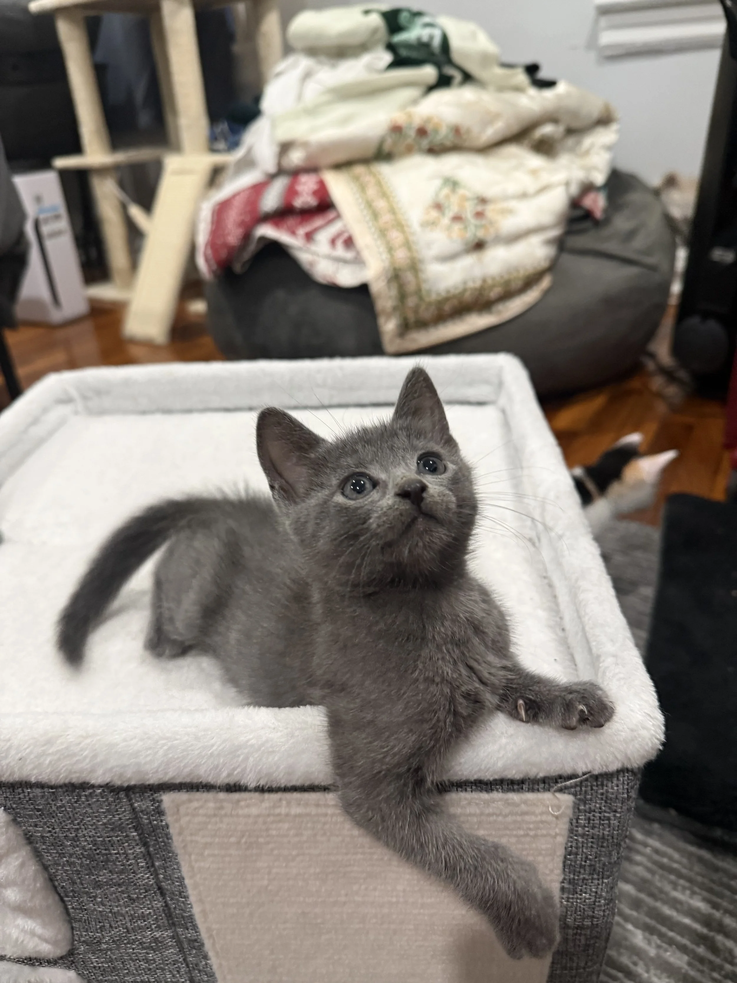 Stormy &amp; Ash’s Story