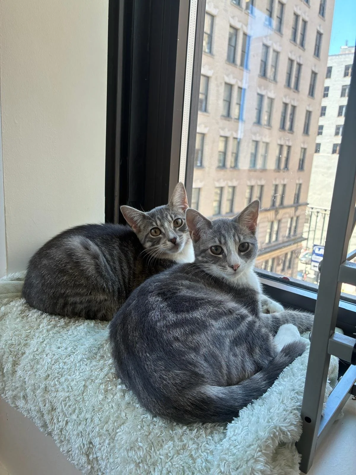 greta and gilda.jpg