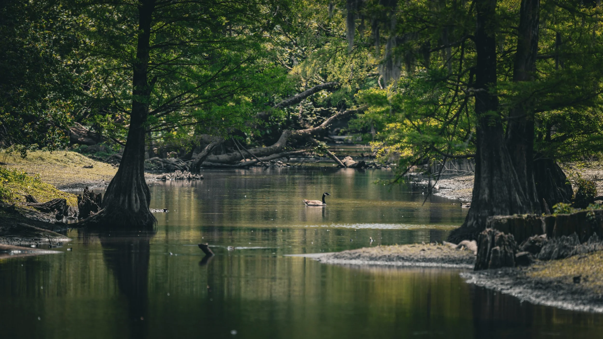 _MG_7770.jpg