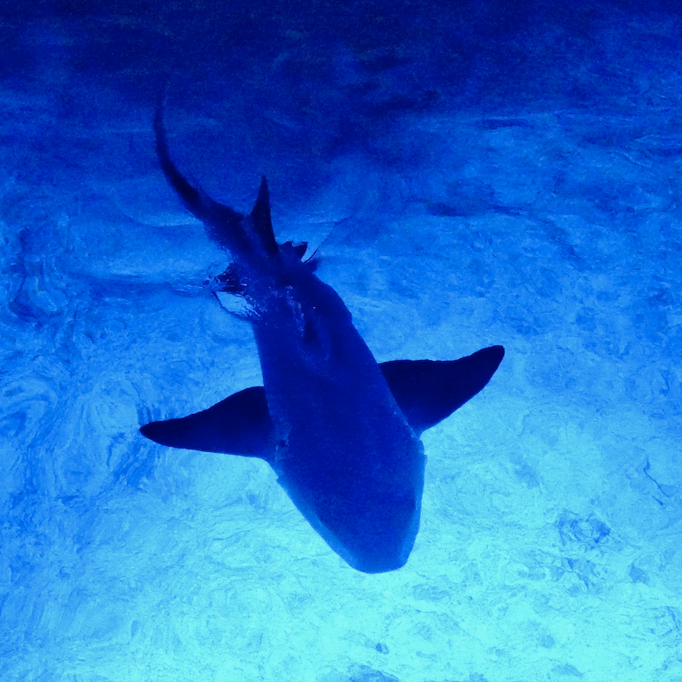 Screenshot 2026-03-07 at 2.45.55 PM.png