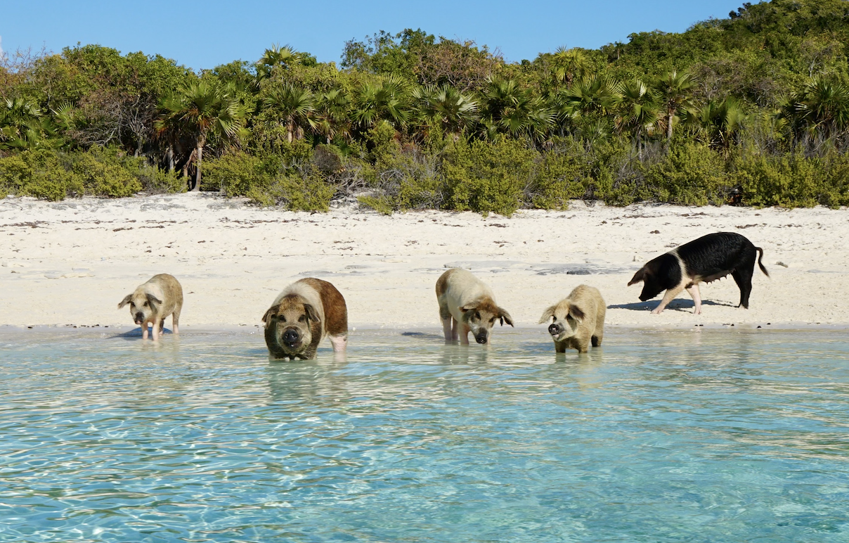 Screenshot 2026-03-07 at 2.46.25 PM.png