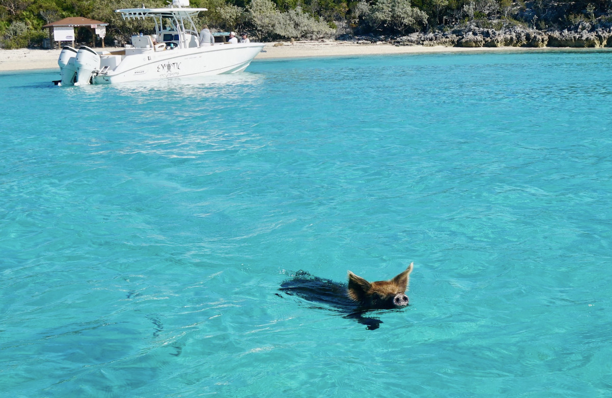 Screenshot 2026-03-07 at 2.46.19 PM.png