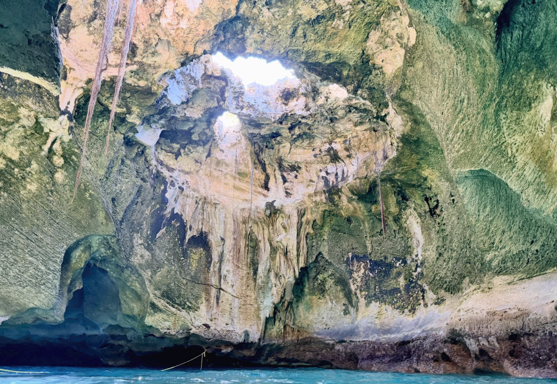 Screenshot 2026-03-07 at 2.46.12 PM.png