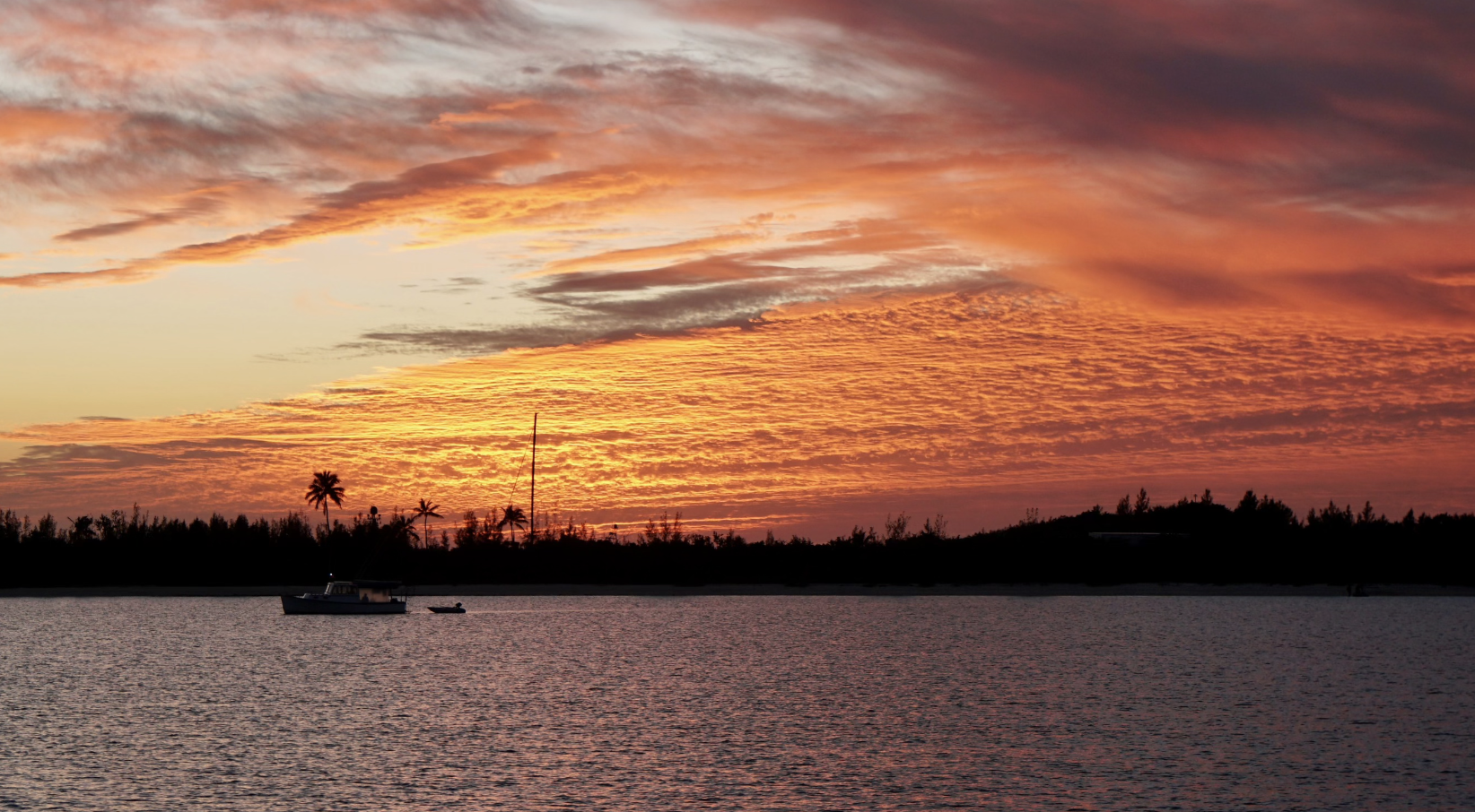 Screenshot 2026-03-07 at 2.42.18 PM.png