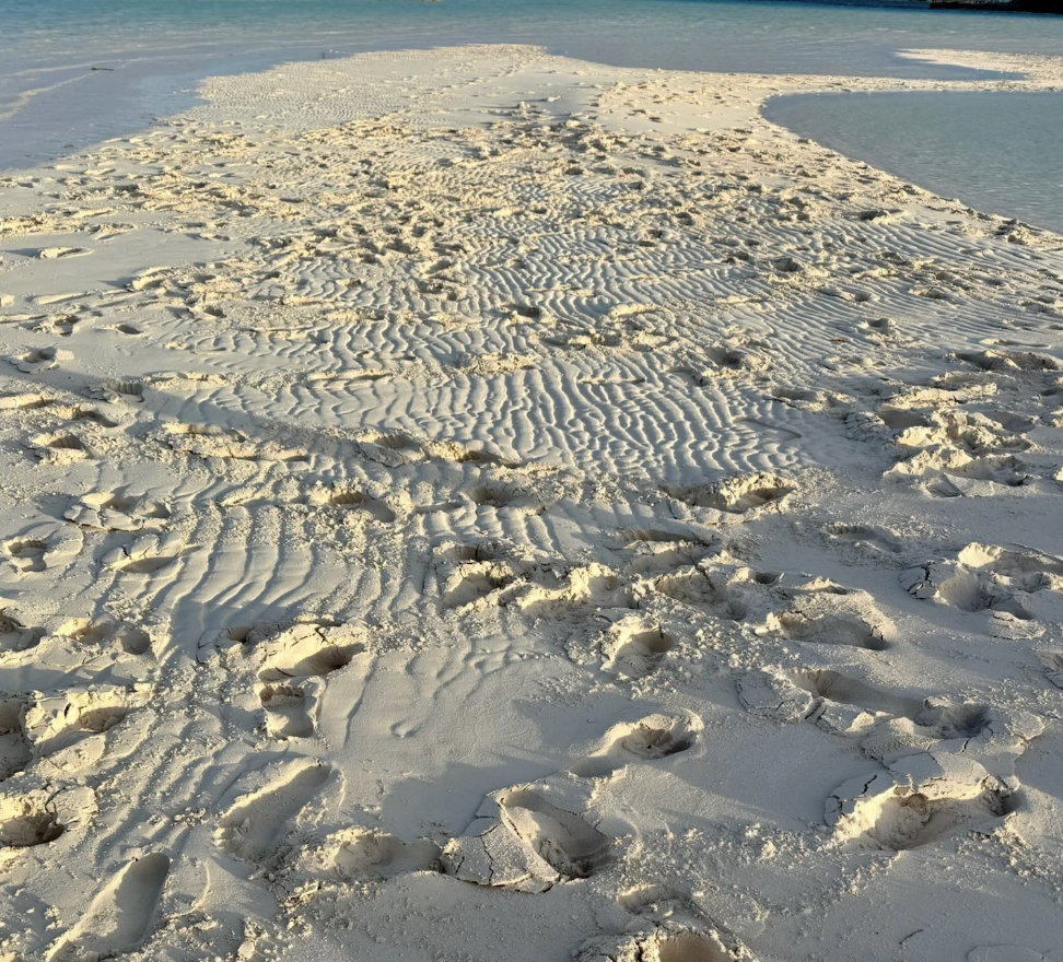 Screenshot 2026-03-07 at 3.03.26 PM.png