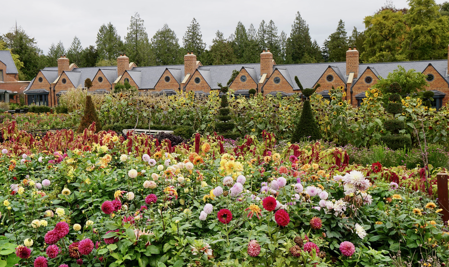 Screenshot 2026-03-07 at 3.24.32 PM.png