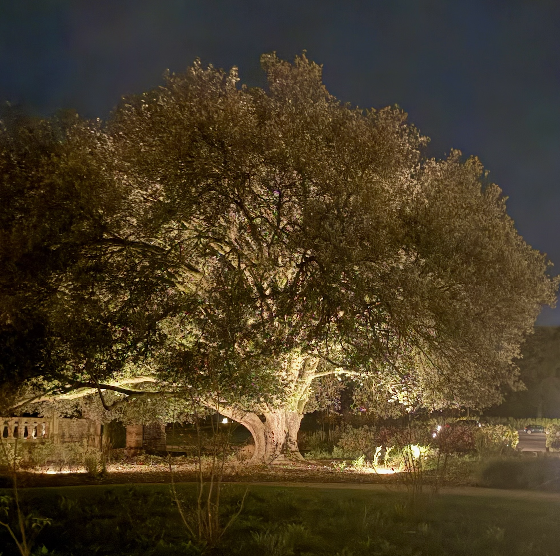 Screenshot 2026-03-07 at 3.24.09 PM.png