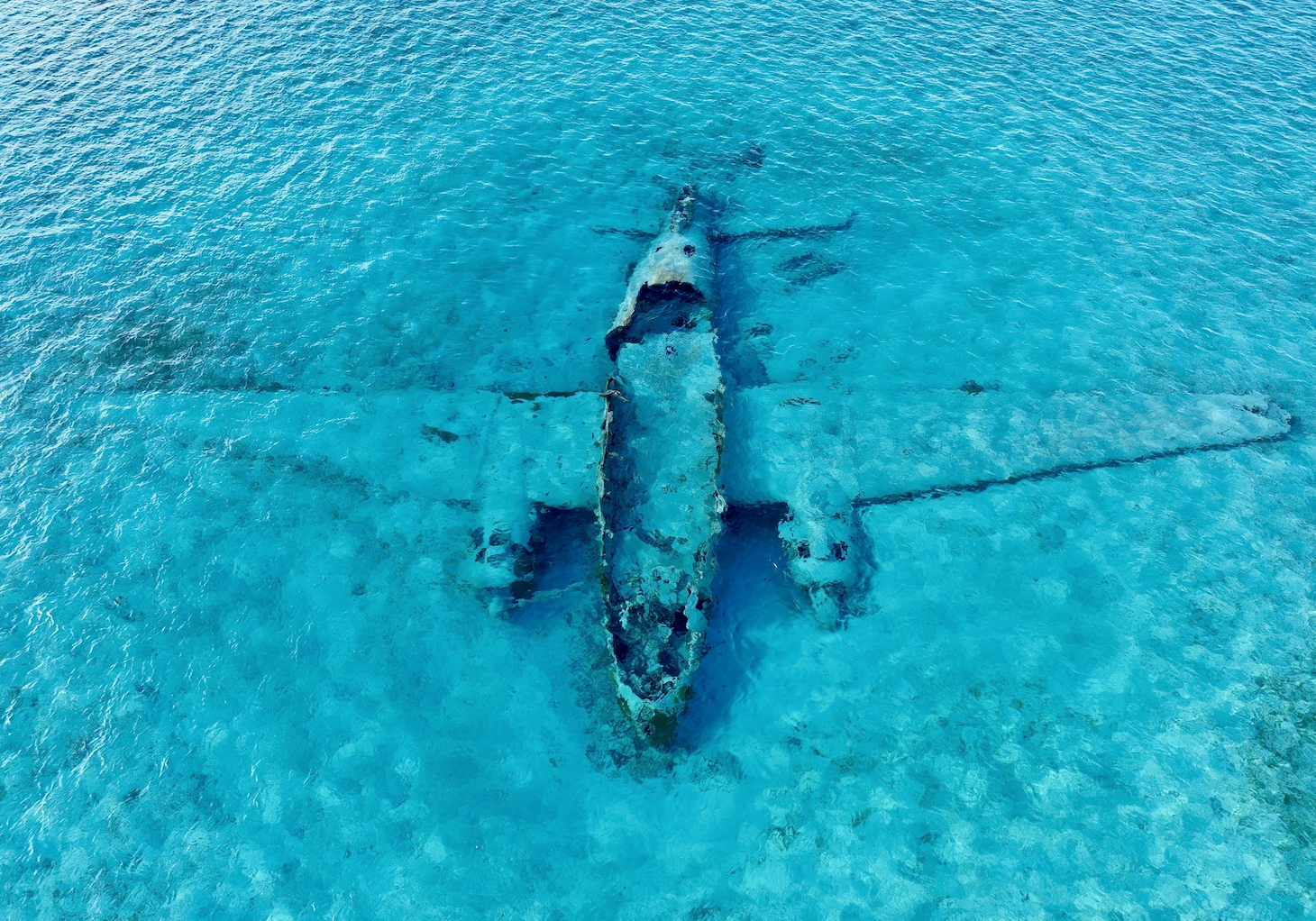 Screenshot 2026-03-07 at 2.42.27 PM.png