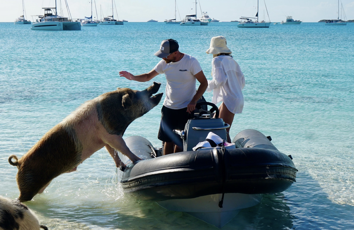 Screenshot 2026-03-07 at 2.46.30 PM.png