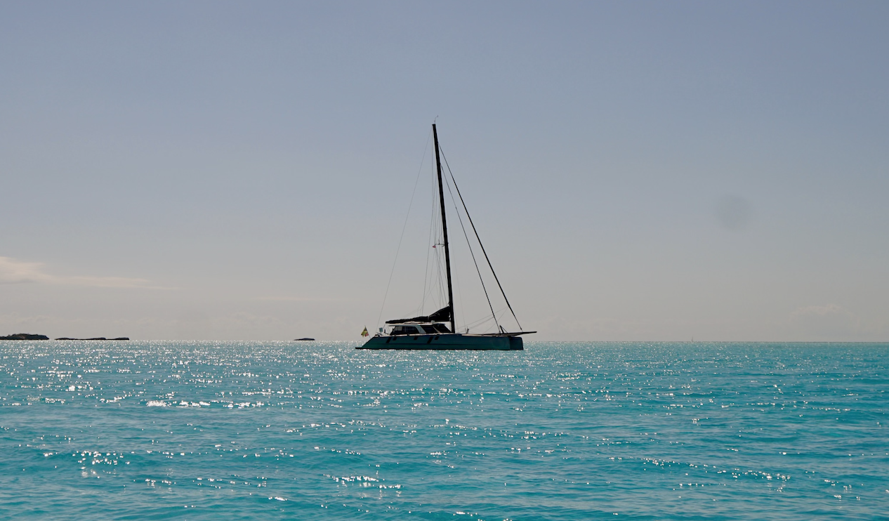 Screenshot 2026-03-07 at 2.45.50 PM.png