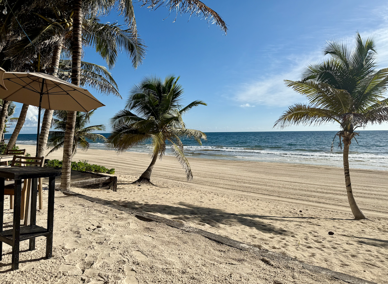 Screenshot 2026-03-07 at 3.17.31 PM.png