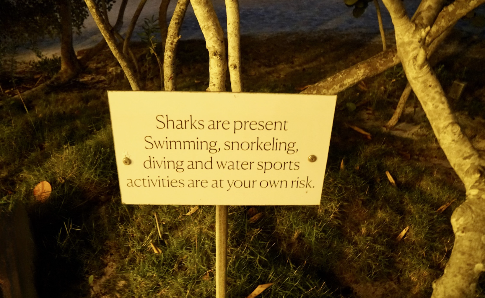 Screenshot 2026-03-04 at 3.07.00 PM.png