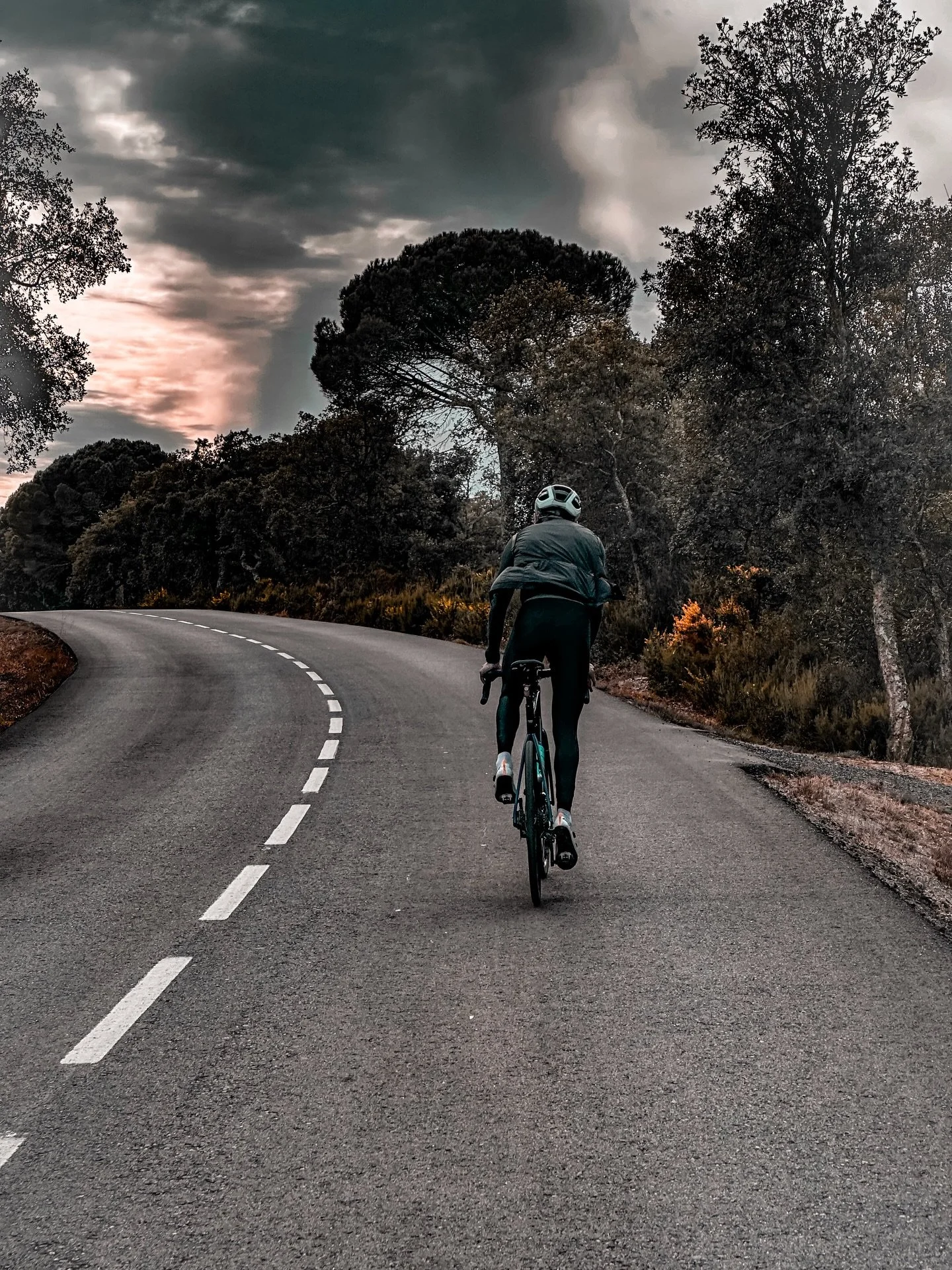 Every climb tells a story.
Pain is a companion, not an enemy. Every gradient, every turn, every metre teaches rhythm, patience, and awareness.

Read the full story on our blog &mdash;> link in bio.