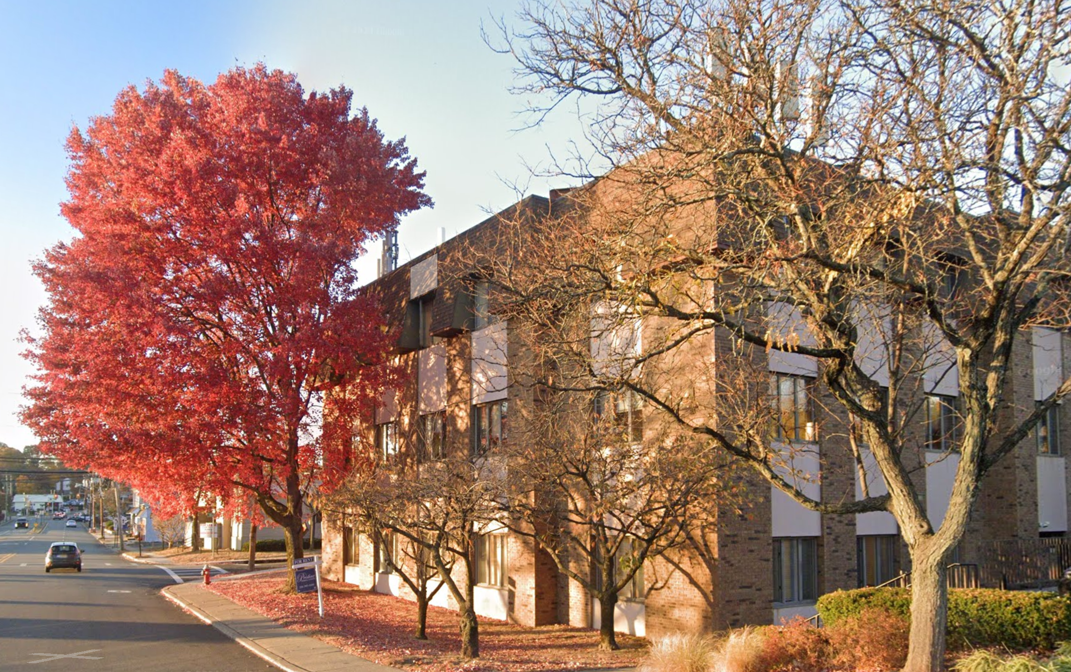 Bergen CBT office building with red autumnal tree in view