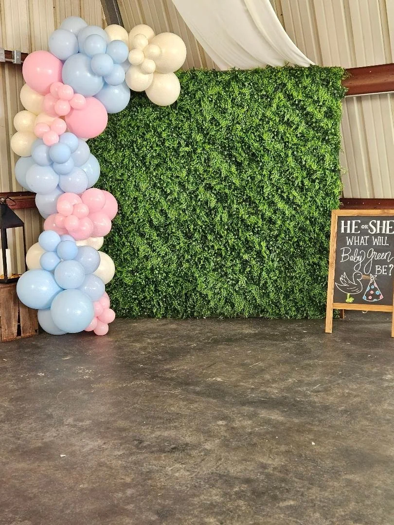 Gender reveal balloons on a greenery wall