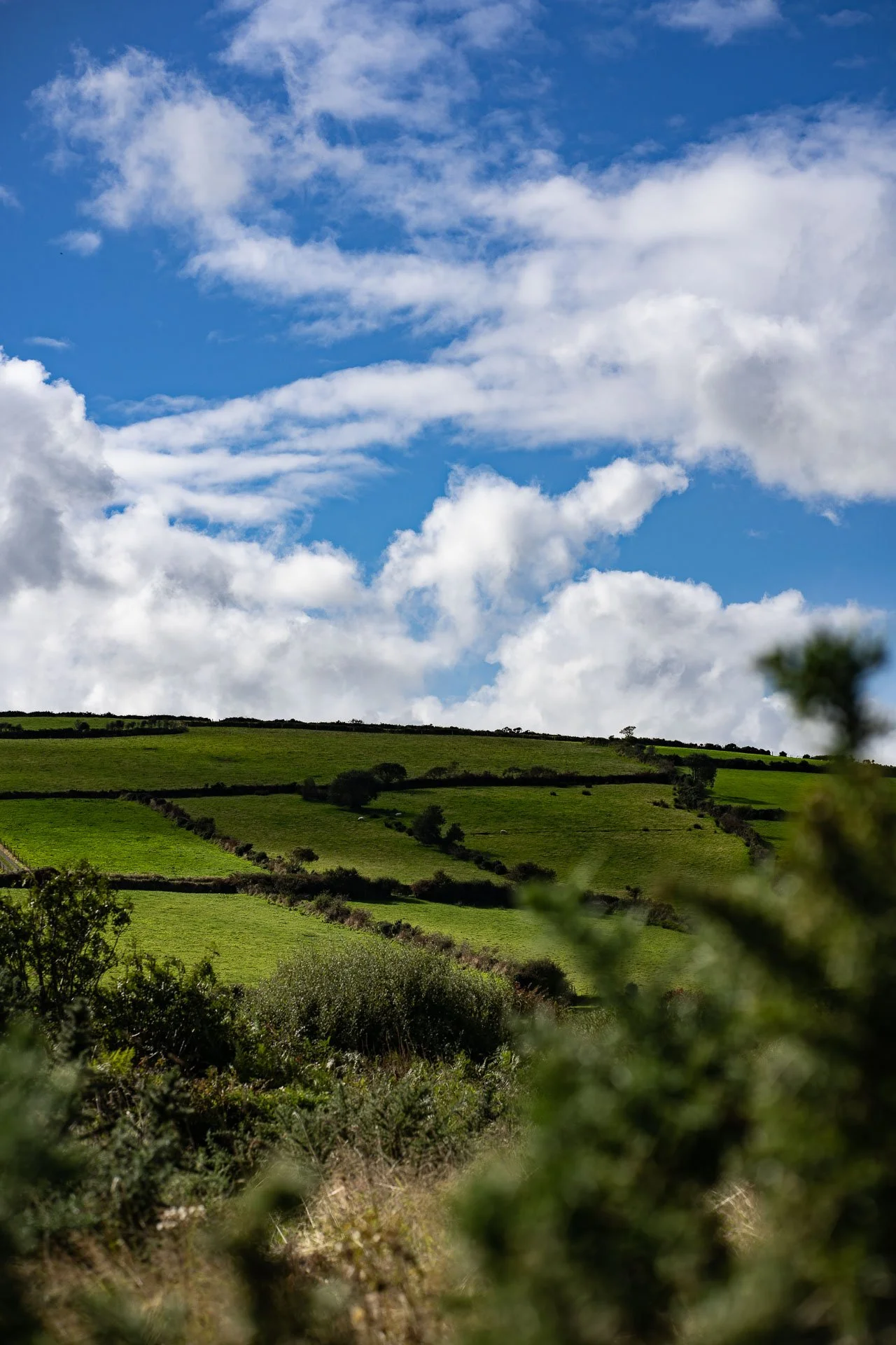 Ireland-7.jpg