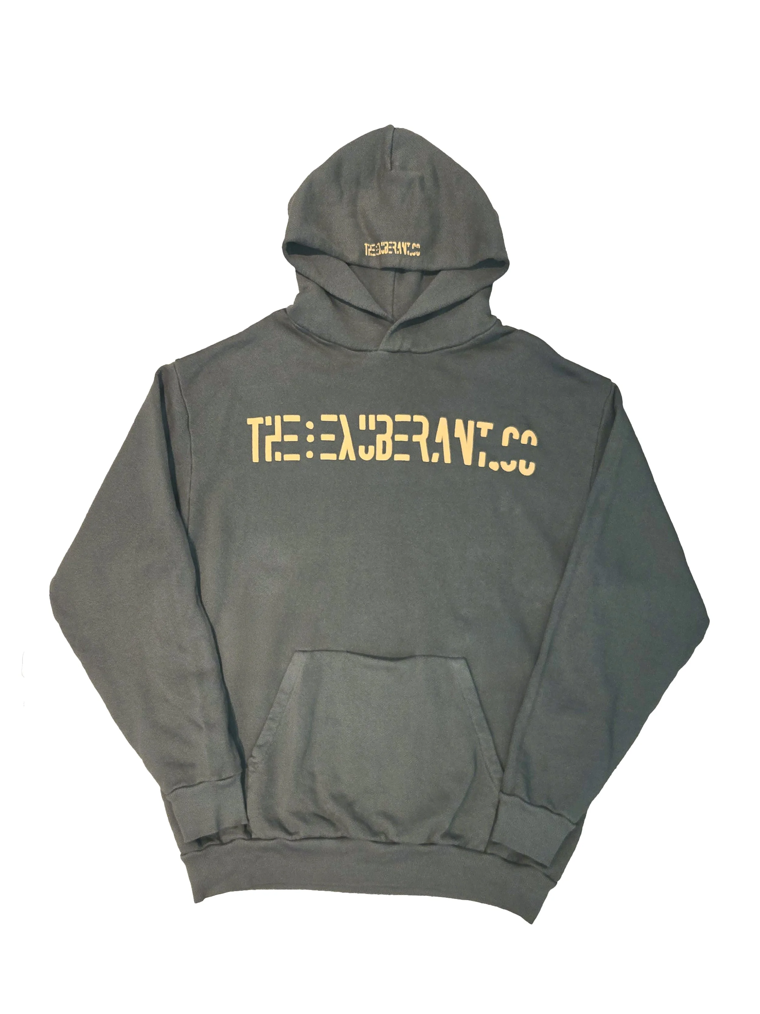 Phone Pkt Hoodie__Olive__JPG 2.jpg