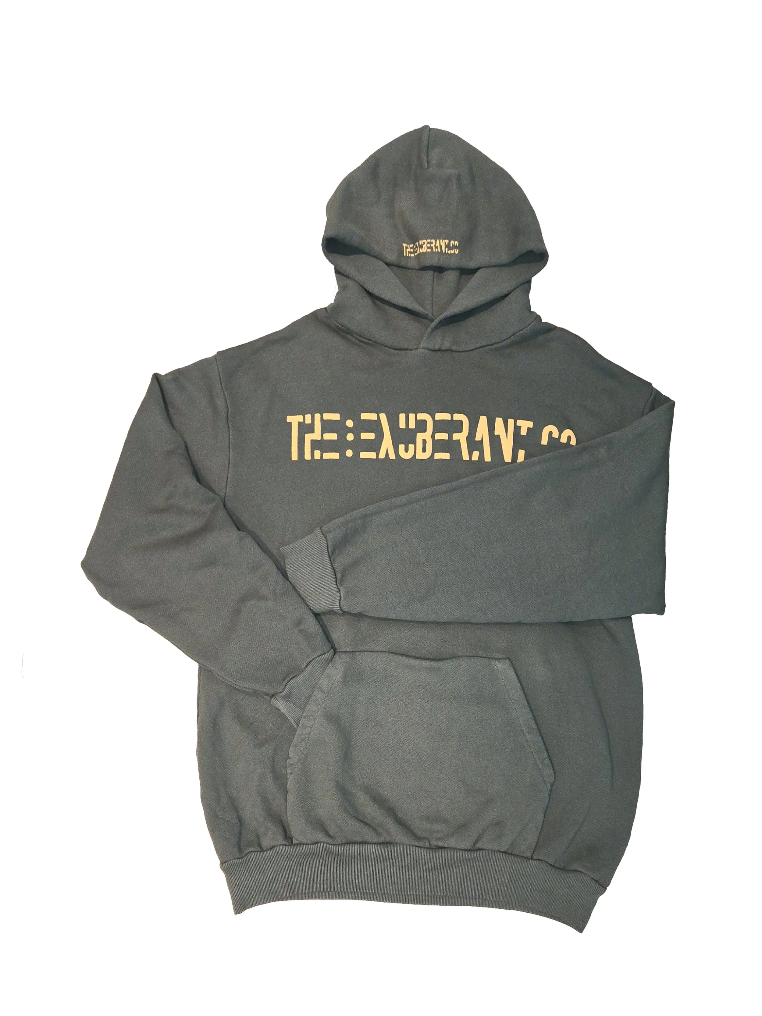 Phone Pkt Hoodie__Olive__JPG 3.jpg