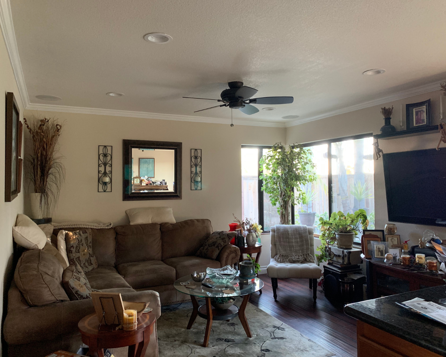 Tania Lopez - Realtor