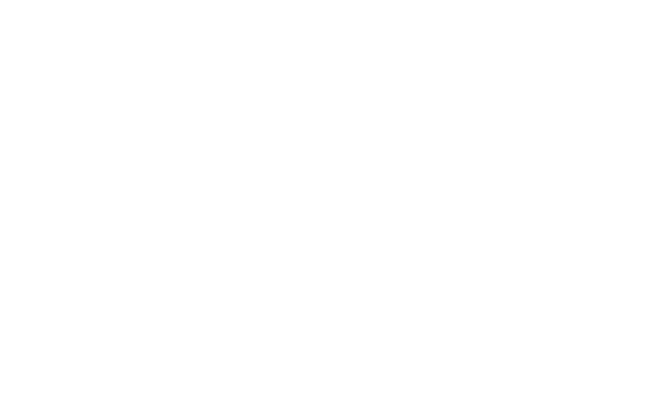 GFX Consultants