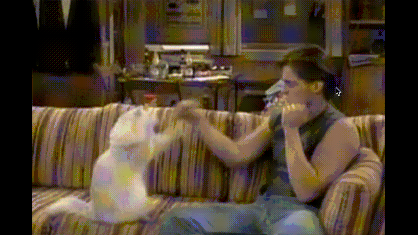 Feliway Social & Digital