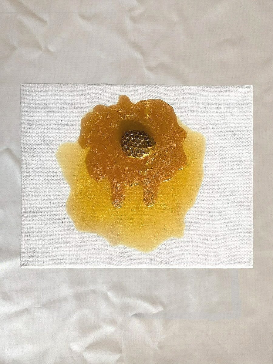 Dripping%2Bin%2BHoney%2B-%2BCopy.jpg
