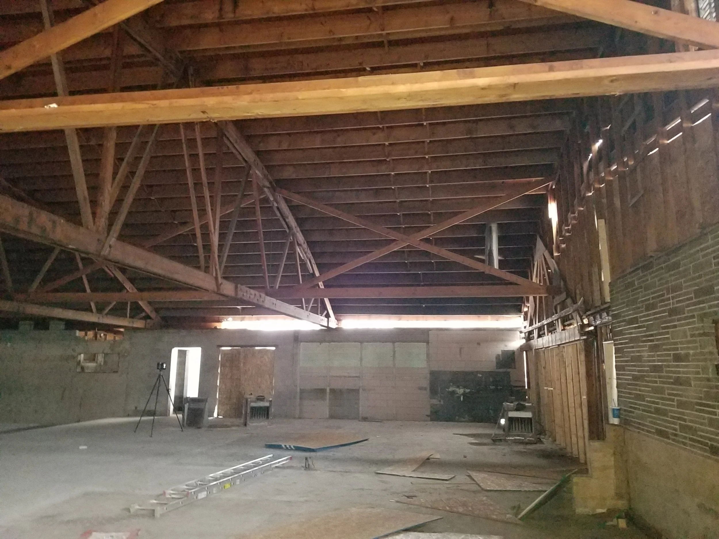 Skaneateles LiDAR.jpg