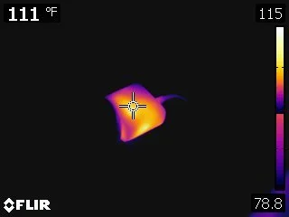 FLIR3690.jpg