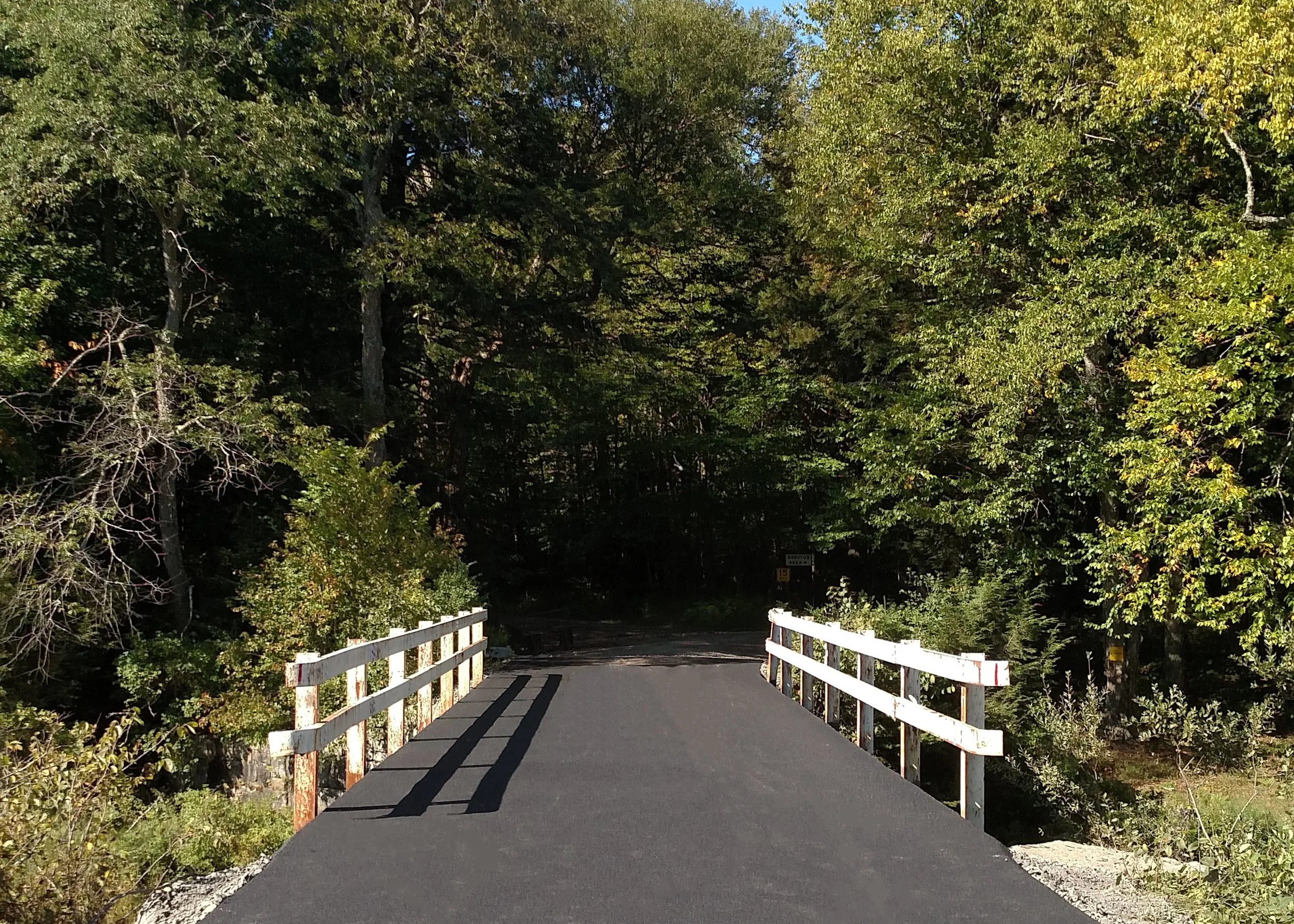 13263.02 SUNY_ESF-Newcomb-Bridge.jpg