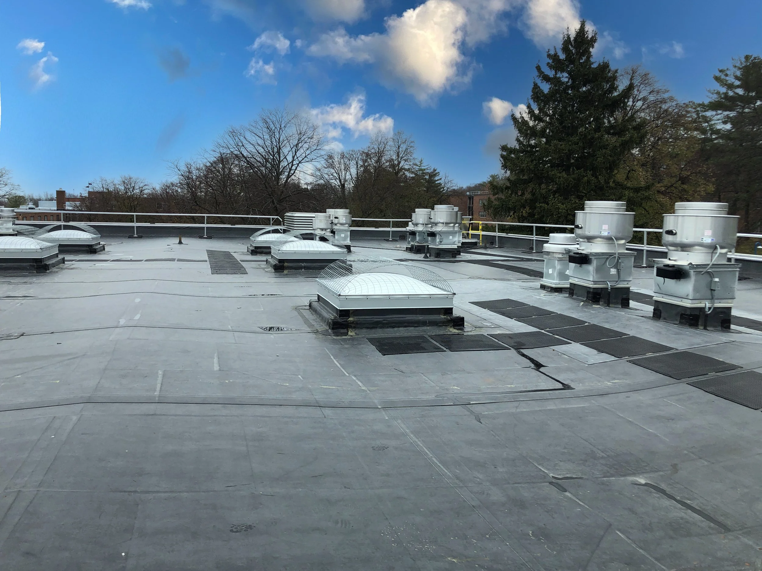 SUNY Geneseo Roof2 - newsky.jpg