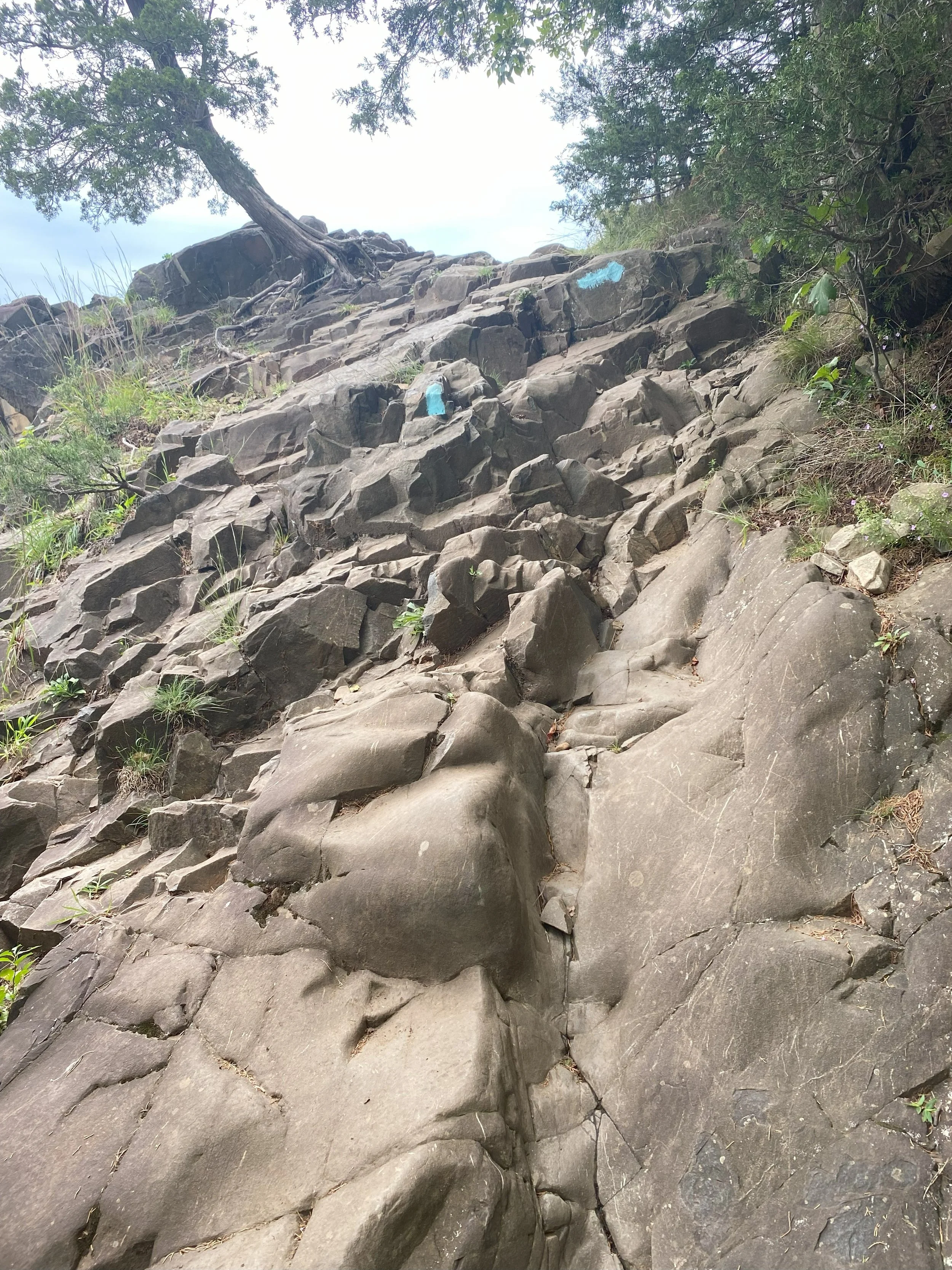 HIKE the Giant: How One Weekend Changed My Hiking Journey