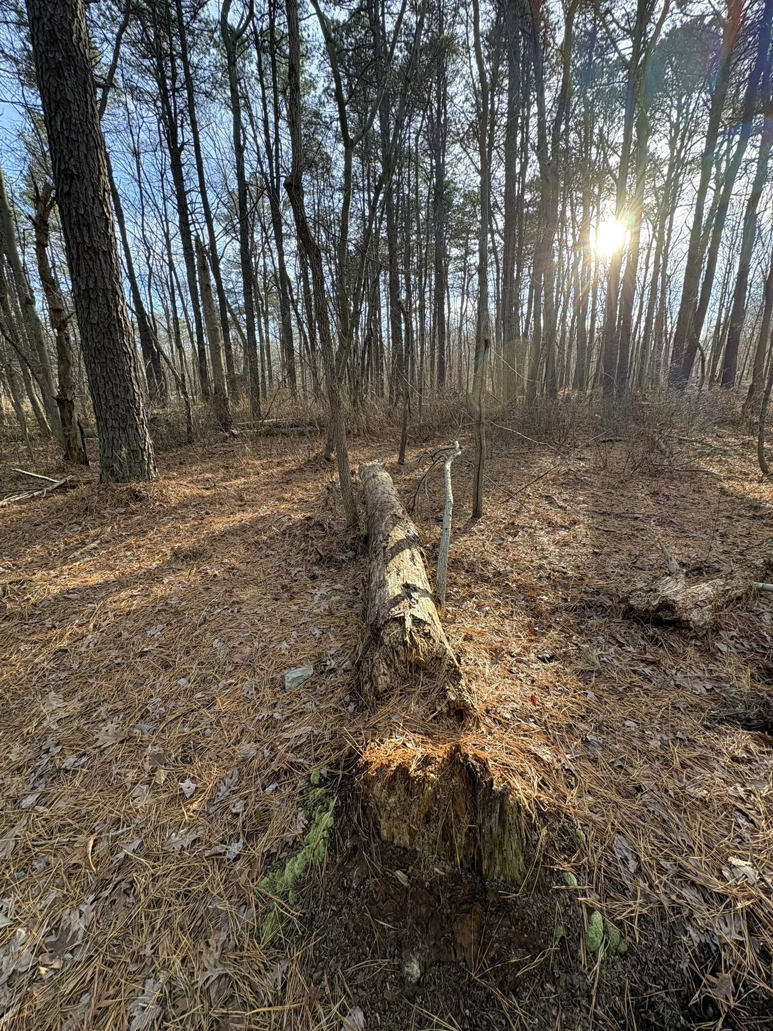 Walking With Intention