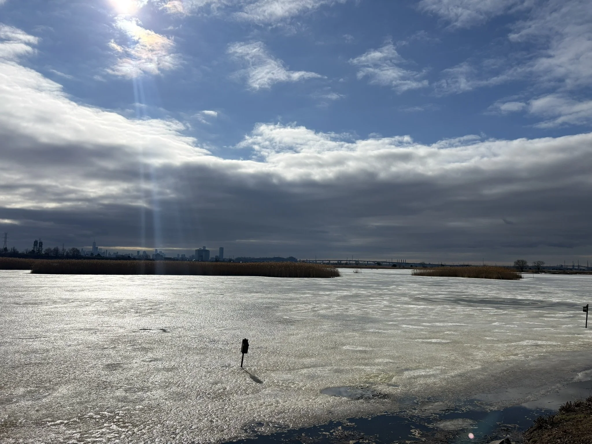 Giving Back to Myself Through Mindful Birding
