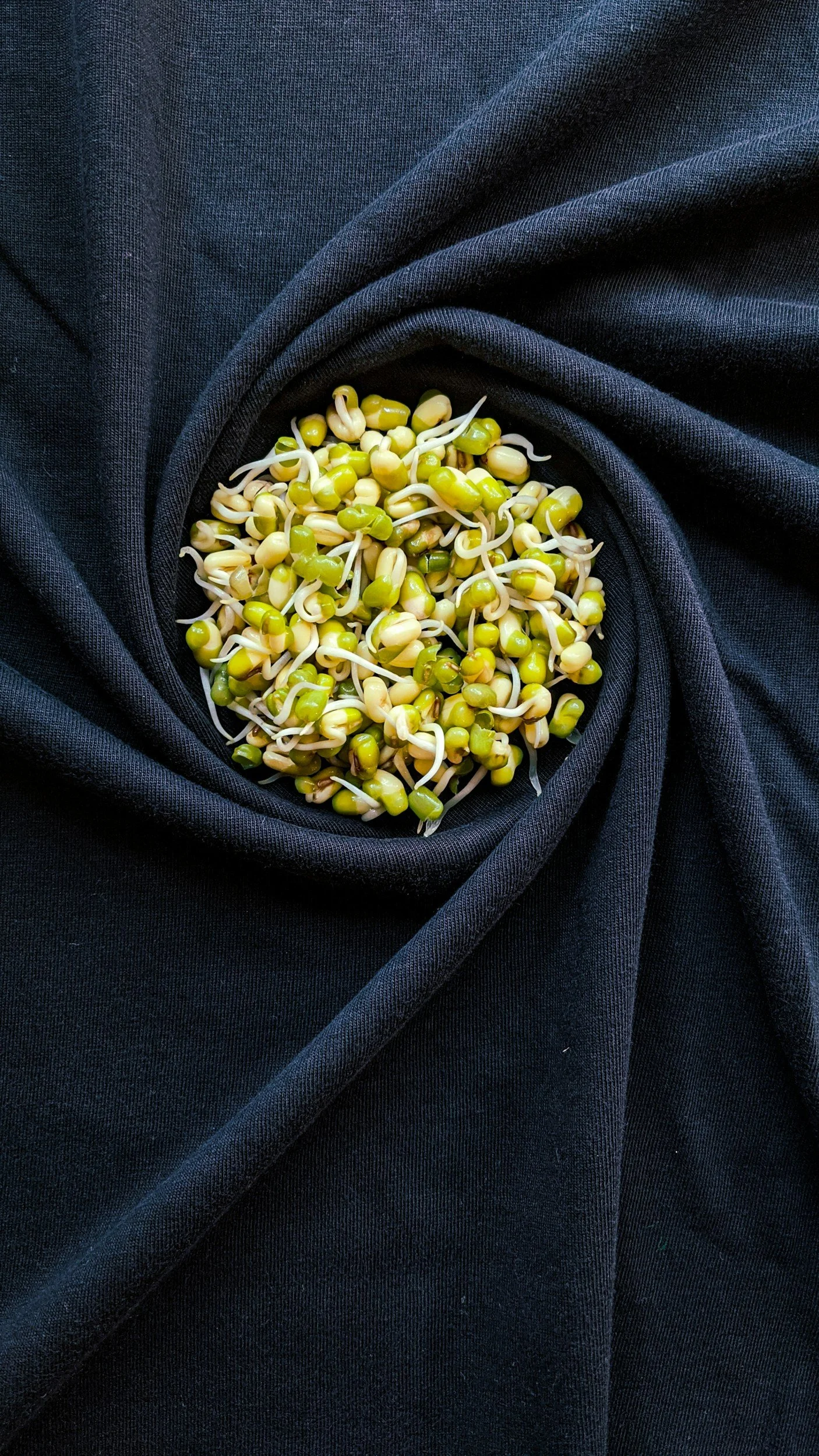 Sprouts—A Super Food you can grow yourself!
