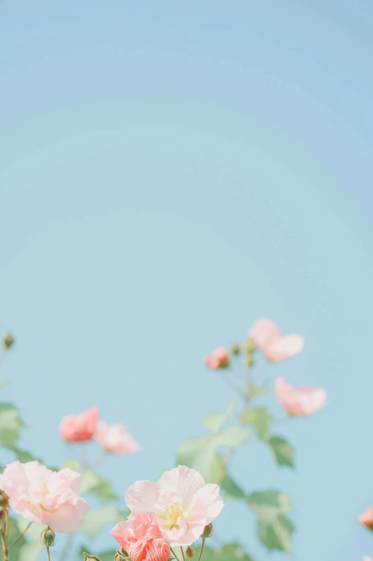 A calm picture to imagine a peaceful life