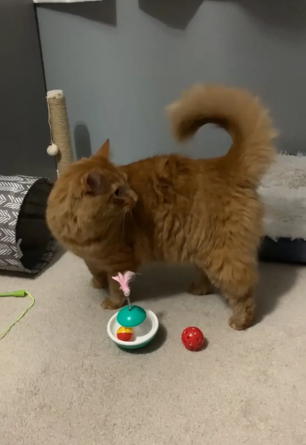 View recent photos.jpeg