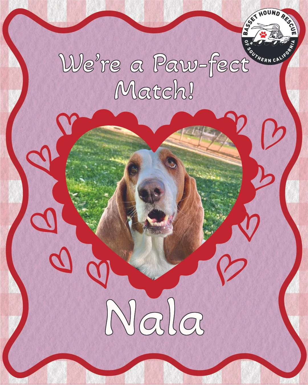 Artboard 1 copy 2_4-100.jpg