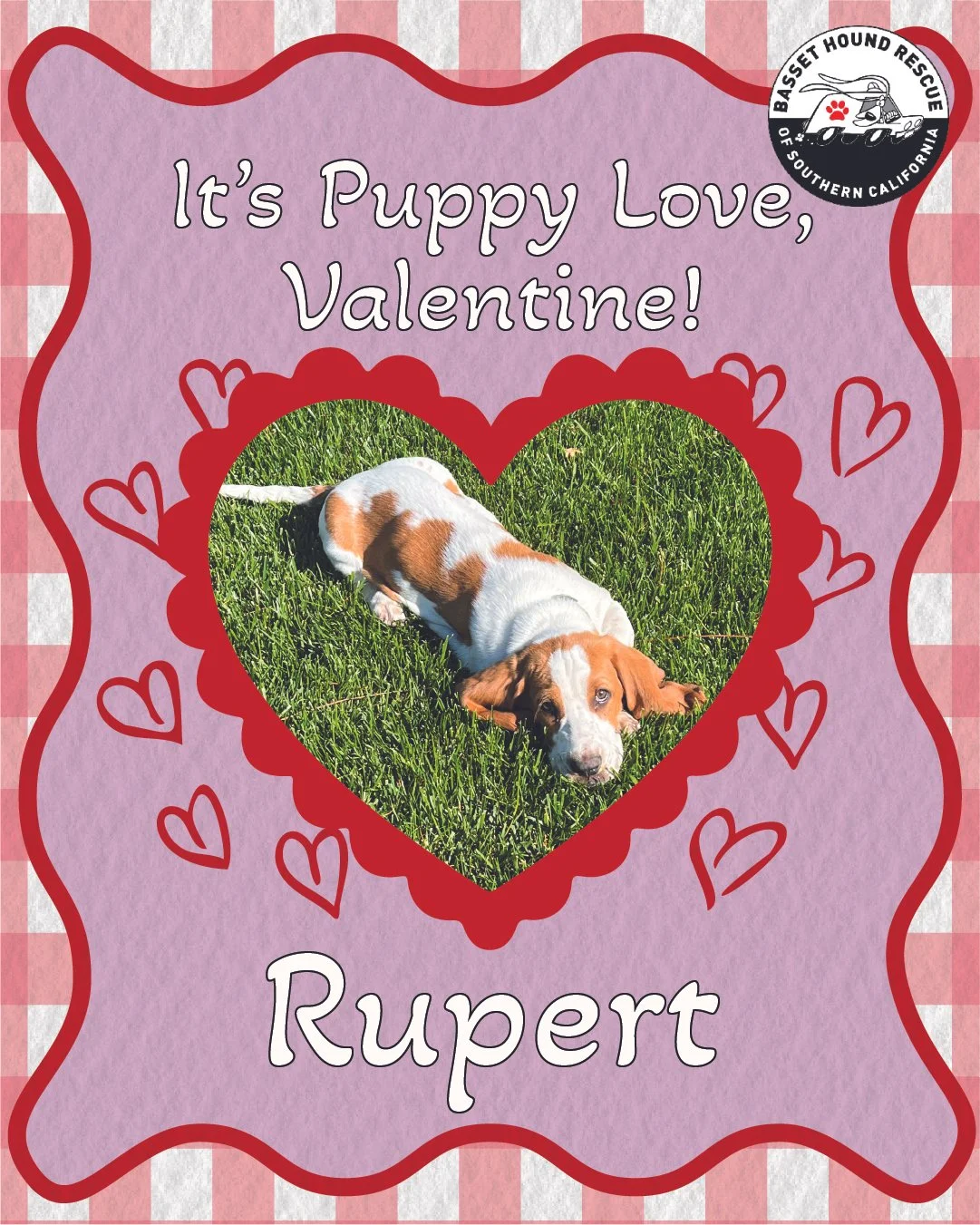 Artboard 1 copy 2_2-100.jpg