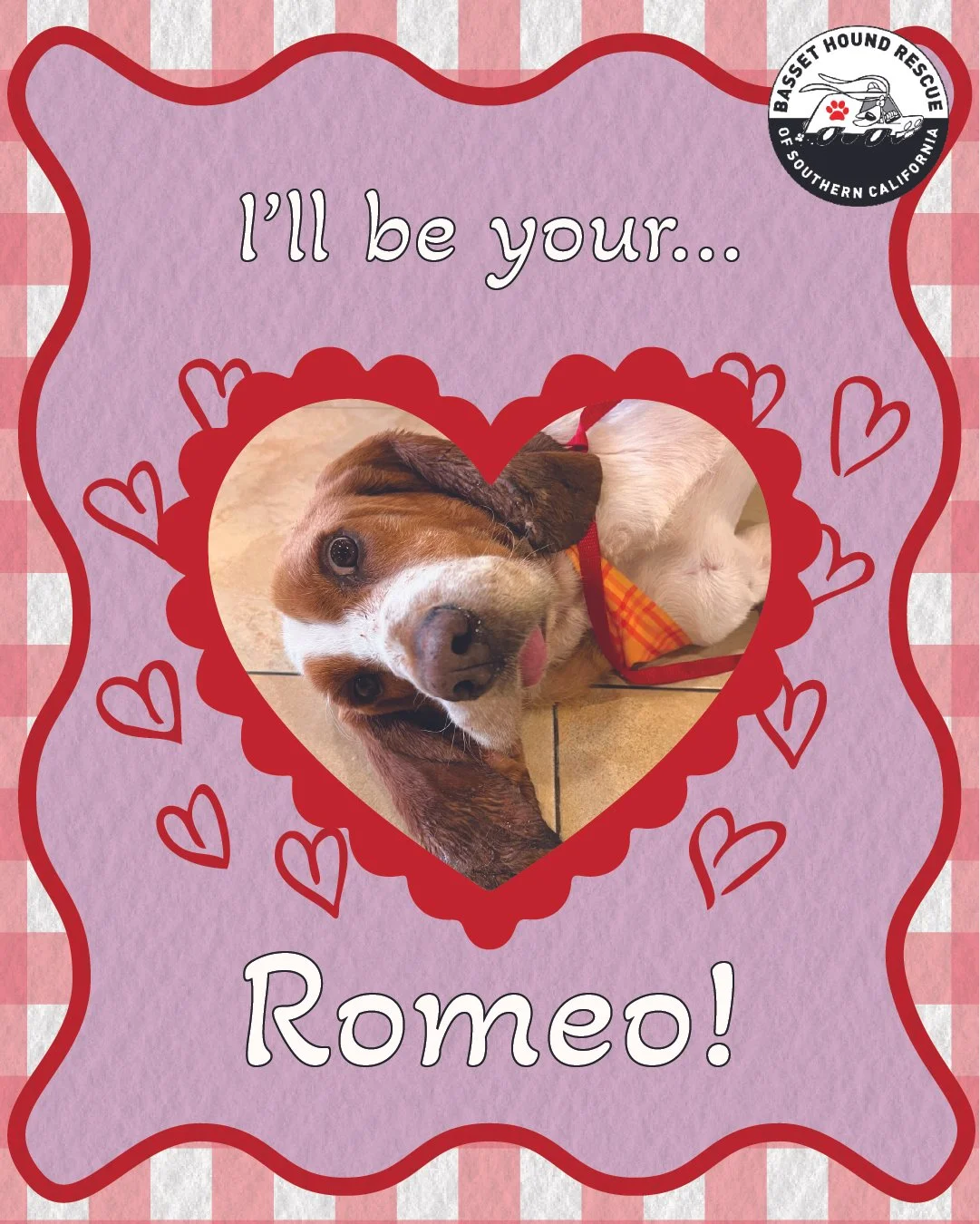 Artboard 1 copy 2-100.jpg