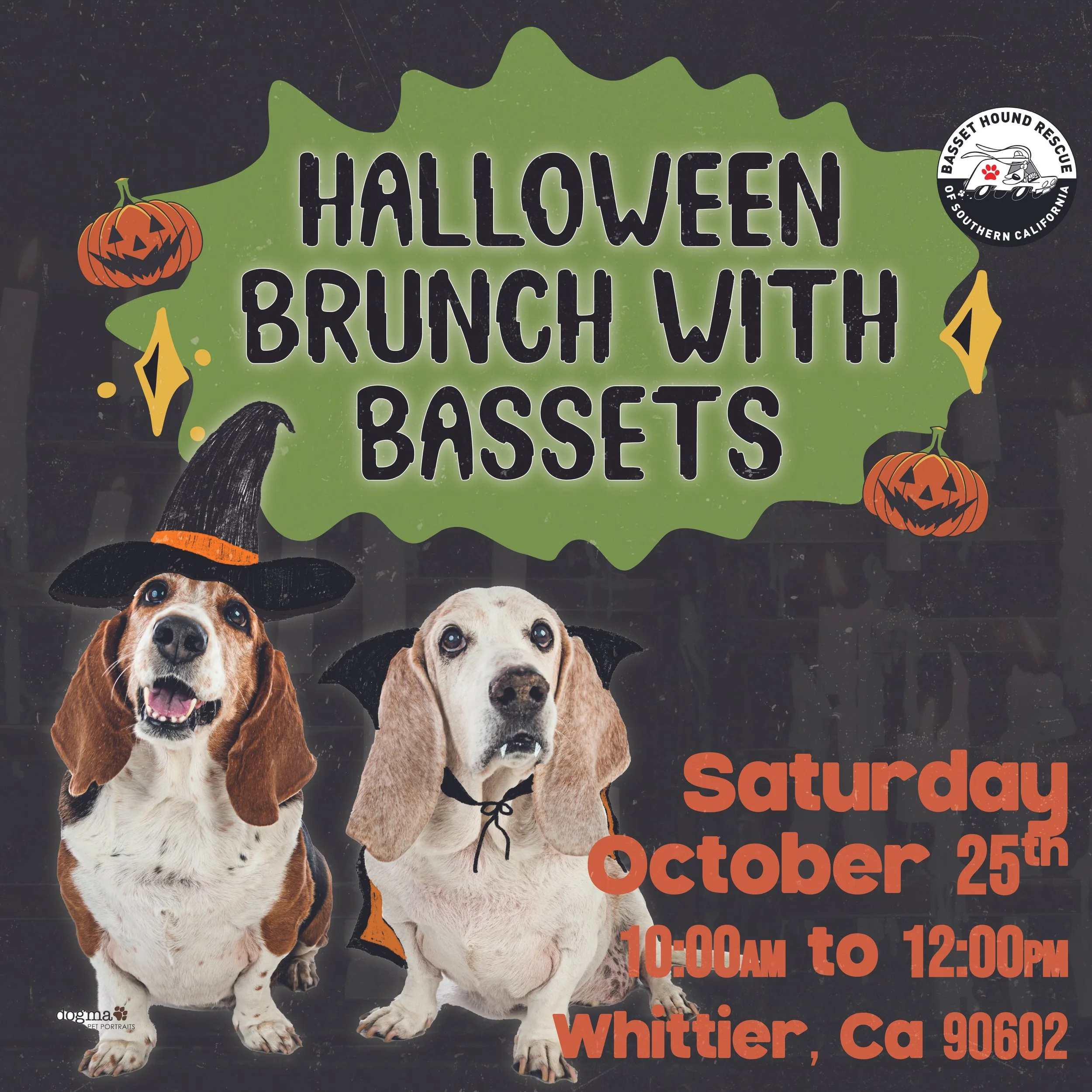 brunch with bassets wout  date-01.jpg