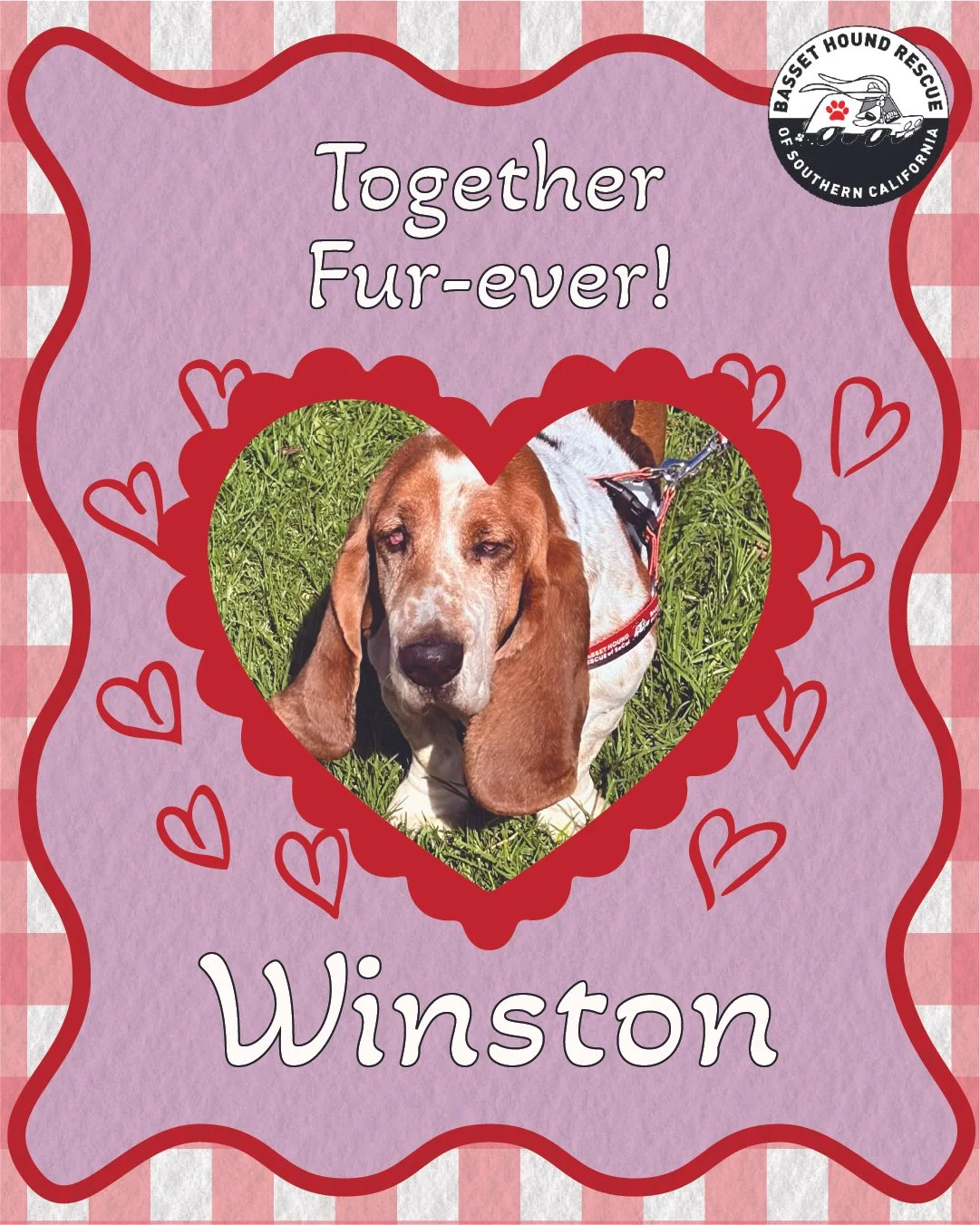 Artboard 1 copy 2_3-100.jpg