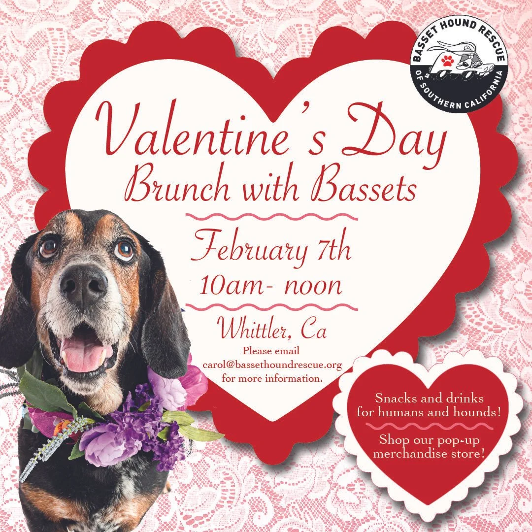 Valentines Day Brunch.jpg