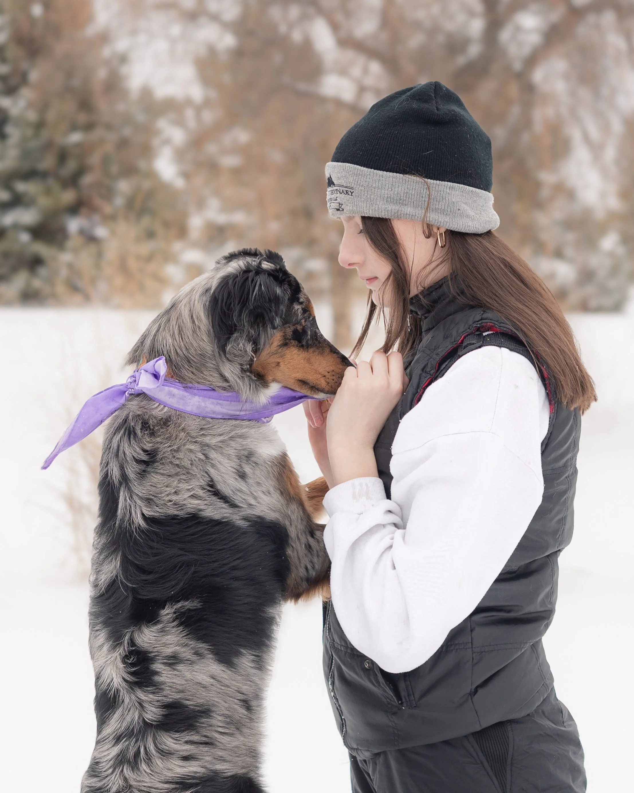 DogsSnow-25.jpg