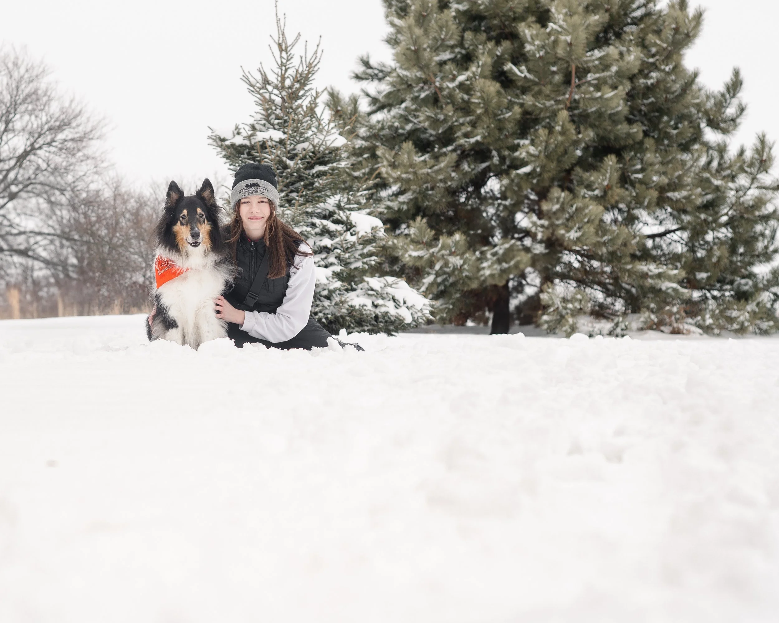 DogsSnow-141.jpg