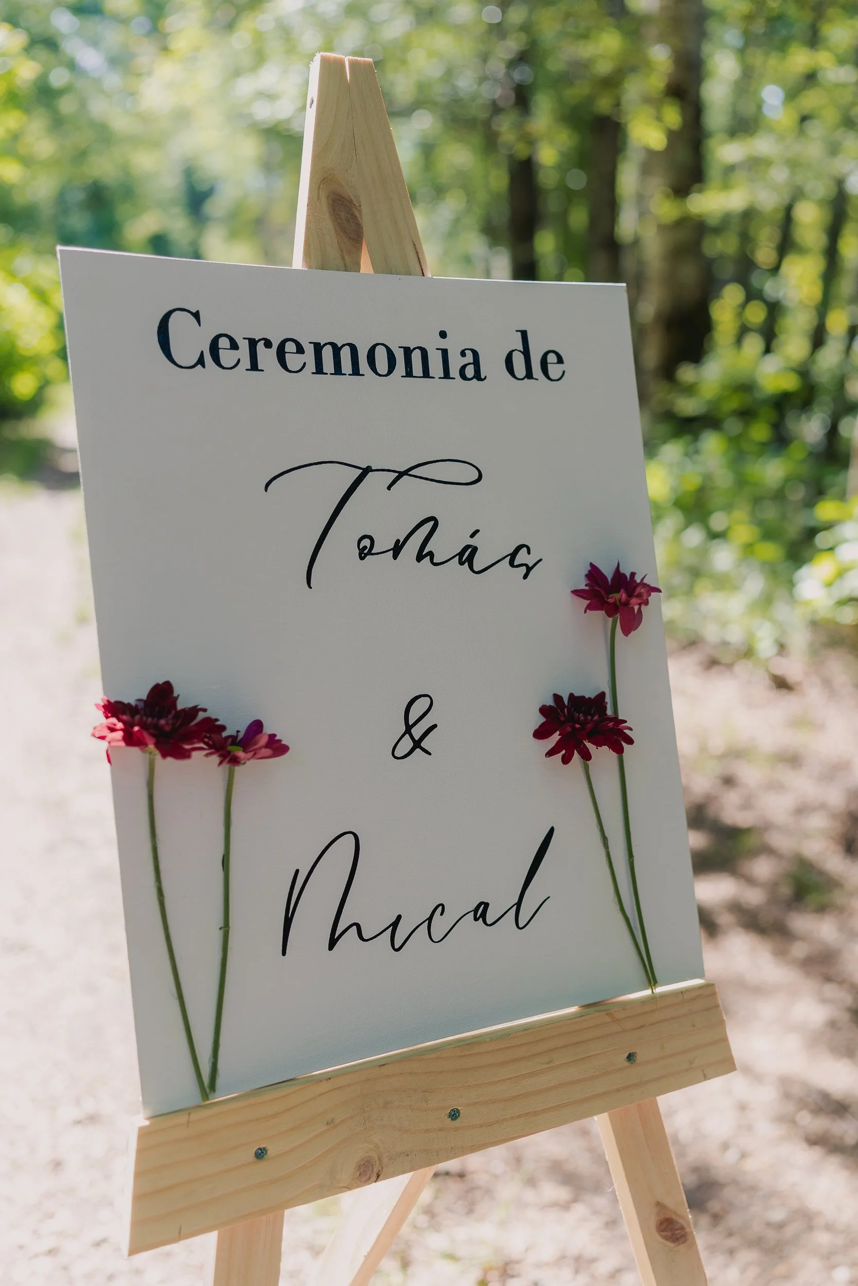 MATRIMONIO SANTIAGO LAMPA 2024 (9 de 278).jpg