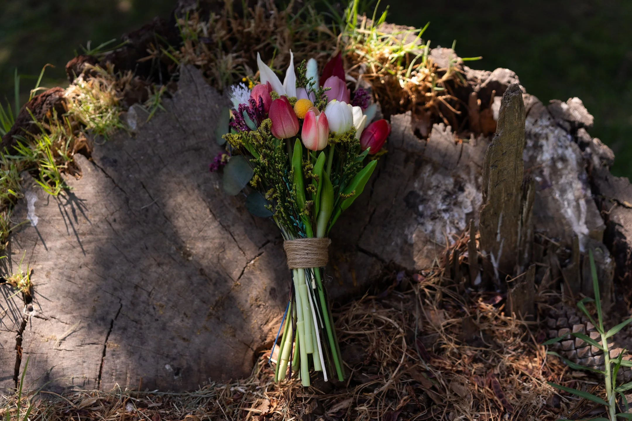 Valeria y Fernando (21 de 650).jpg