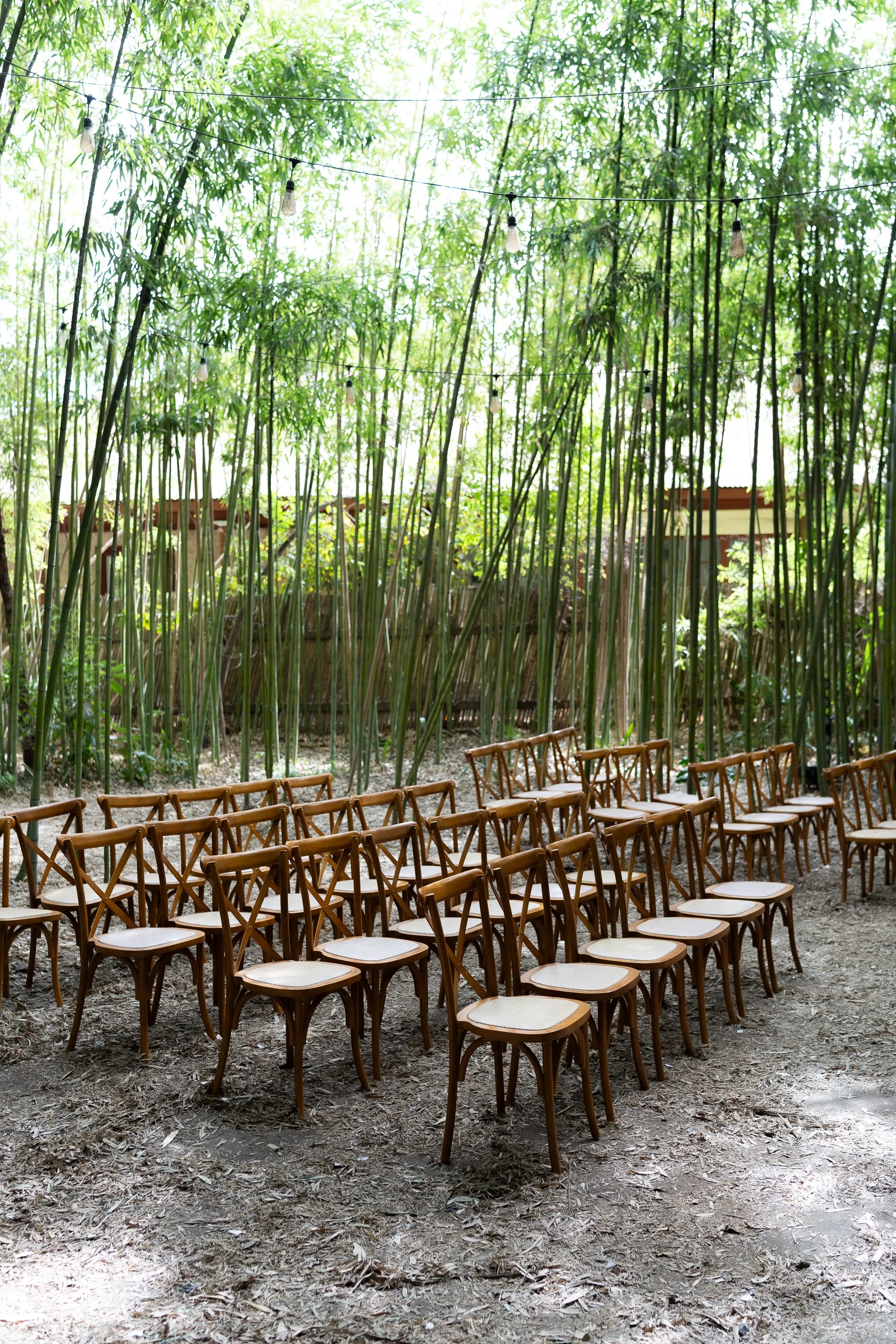 Maria Jose y Lorenzo  (26 de 675).jpg