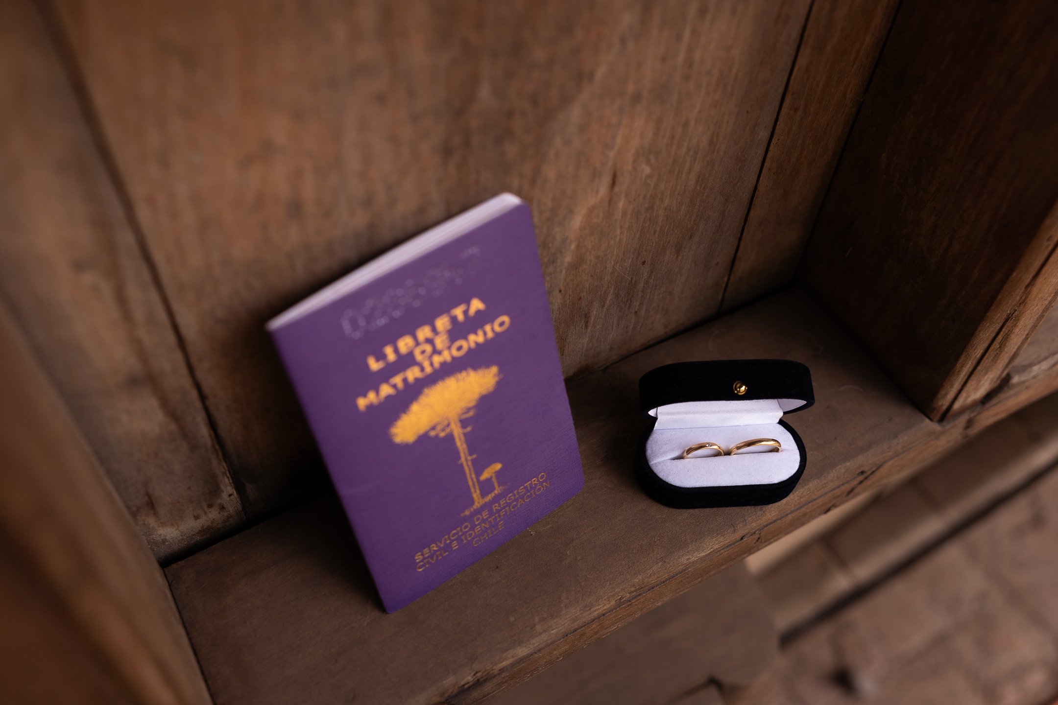 Maria Jose y Lorenzo  (9 de 675).jpg