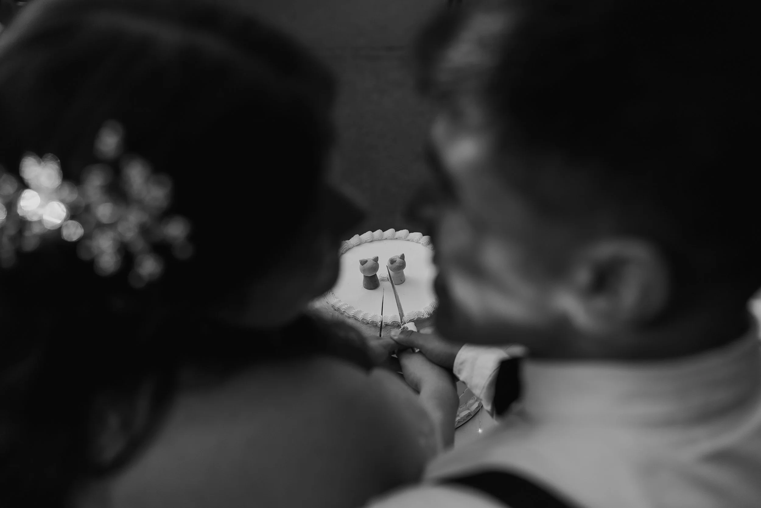 MATRIMONIO SANTIAGO LAMPA 2024 (126 de 172).jpg