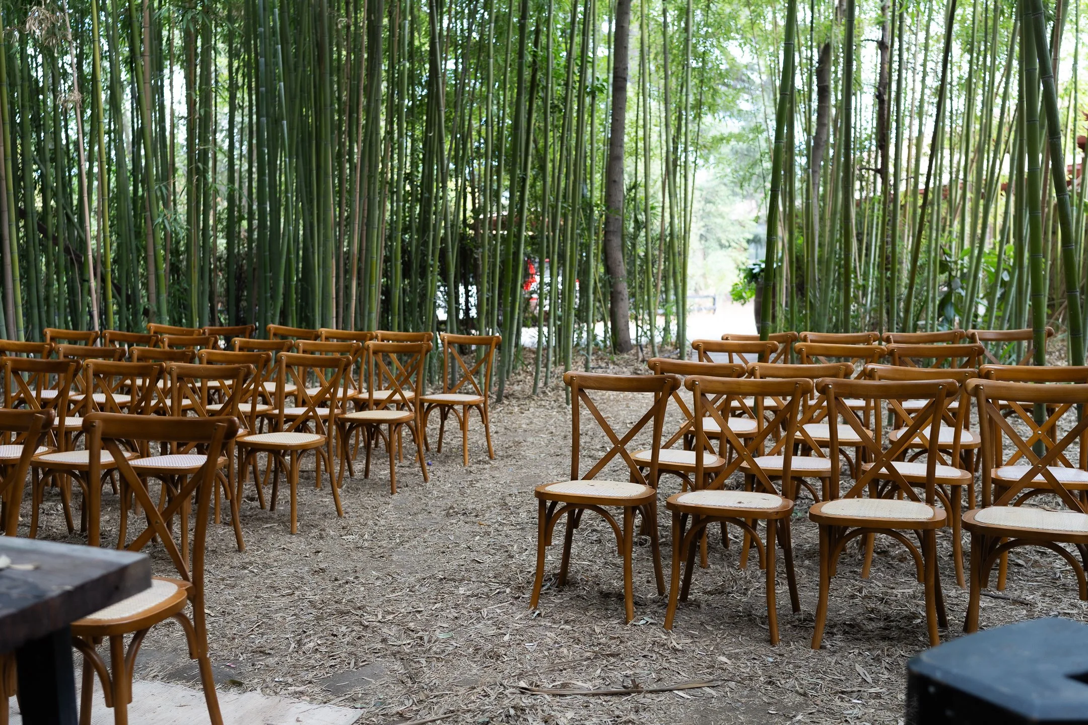 Maria Jose y Lorenzo  (28 de 675).jpg